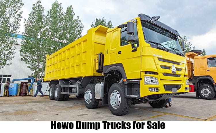 Sinotruk 12 Wheeler Howo Dump Trucks for Sale in Guam Agana